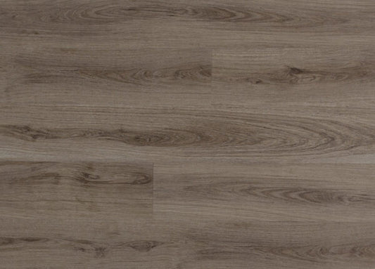 CASCADE - Impact - Camben ST Tan