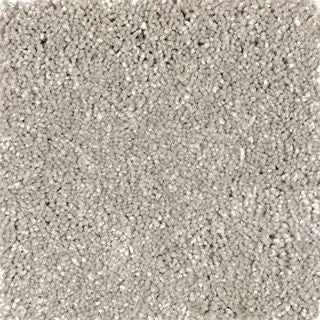 CARPET STOCK - MOHAWK - Sharp Selection - Stepping Stone