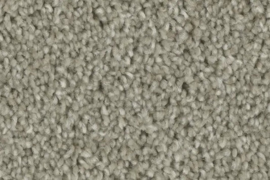 CARPET STOCK - PHENIX - Tempt - Court