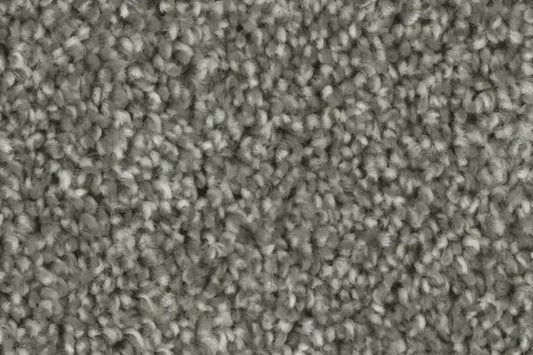 CARPET STOCK - PHENIX - Tempt - Engage